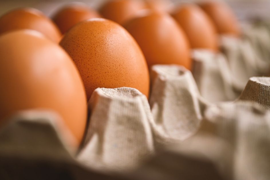 Otklonjeni nedostaci za izvoz jaja A klase na tržište EU