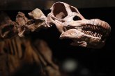 Otkriće koje menja sve što smo znali o dinosaurima