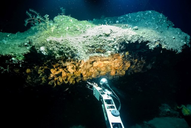 Otkriće koje menja tok istorije: Istraživači pronašli olupine važnog broda