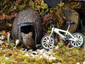 Otkrio miševe u svom dvorištu, pa im izgradio malo selo