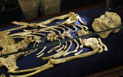 
					Otkriven skelet ljudskog pretka star 3,6 miliona godina 
					
									