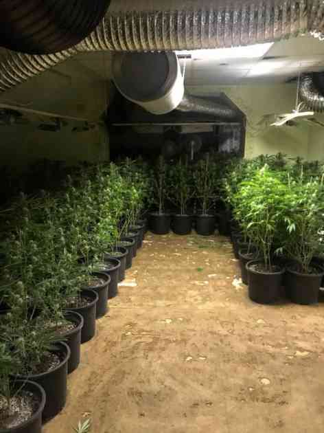 Otkrivene laboratorije za uzgoj marihuane, dvoje uhapšeno