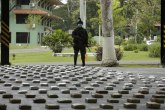 Otkriveno više od 2 tone kokaina u Kolumbiji; u šverc umešan Balkanski kartel VIDEO