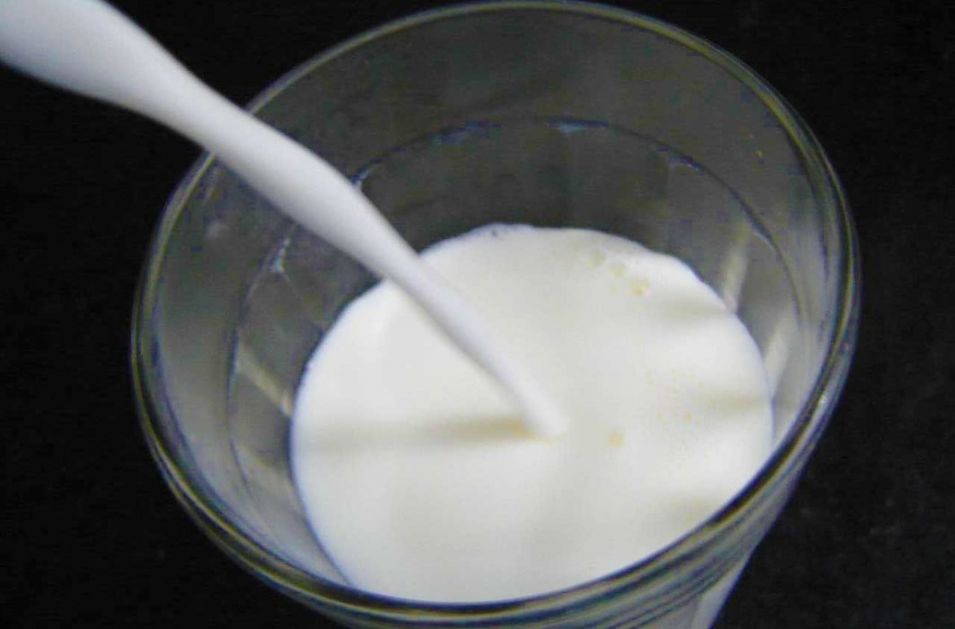 Otkup mleka porastao za 10 odsto, svaki drugi sir iz Vojvodine