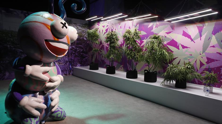 Otvara se Muzej marihuane u Las Vegasu