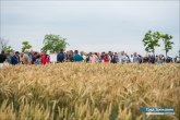 Ova godina je specifična u odnosu na prethodne: Održan Dan polja strnih žita u Zrenjaninu
