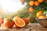 Ova količina pomorandži može da vas ubije