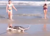 Ovaj pas je sigurno zadivio sve na plaži VIDEO