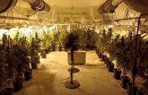 Ovako izgleda laboratorija za uzgoj marihuane: Uhapšena jedna osoba FOTO