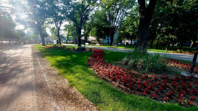 Ove nedelje akcija suzbijanja komaraca i krpelja
