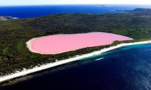 Ovo jezero postoji 200 godina, a niko ne zna zašto je roze boje!