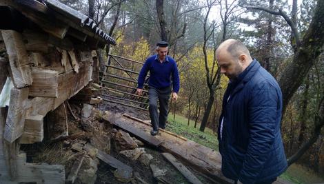 “Ovo se nije desilo više od 30 godina”: U selu Crnčići medved RASTRGAO dve ovce