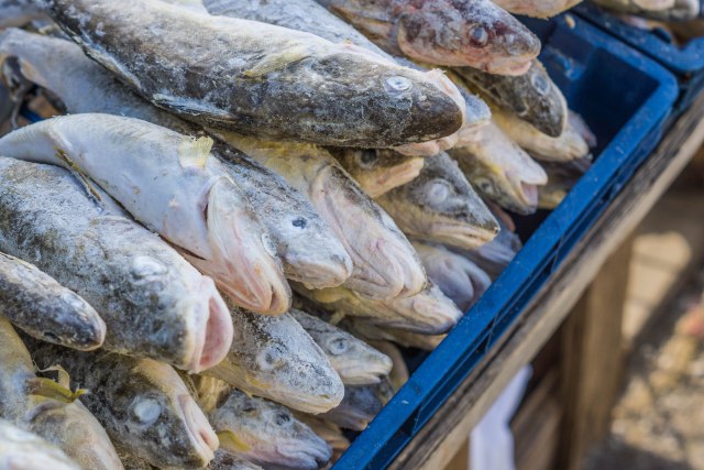 Ovo su cene ribe u marketima u Srbiji