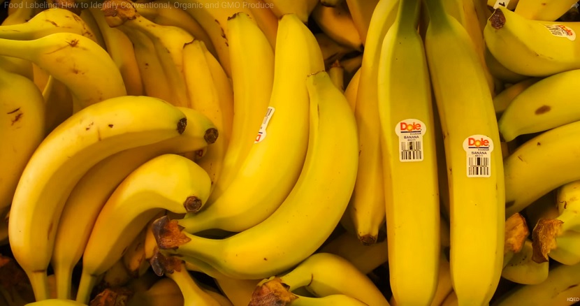PAŽLJIVO GLEDAJTE ŠTA KUPUJETE: Da li znate šta ZAISTA znače nalepnice  na bananama? (VIDEO)