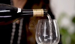 PKS: Najveći evropski vinski časopis objavio da je Srbija vinogradarska zemlja u usponu