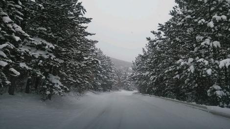 PLANINA OVDE ČESTO POKAŽE SVOJE ZUBE Težak život meštana u staroplaninskom selu Rsovci