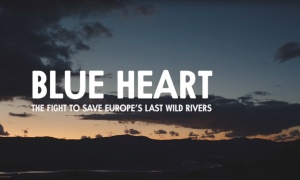 PLAVO SRCE: Dokumentarni film pokazuje razmere uništavanja reka i ljudskih zajednica koje žive uz njih (VIDEO)