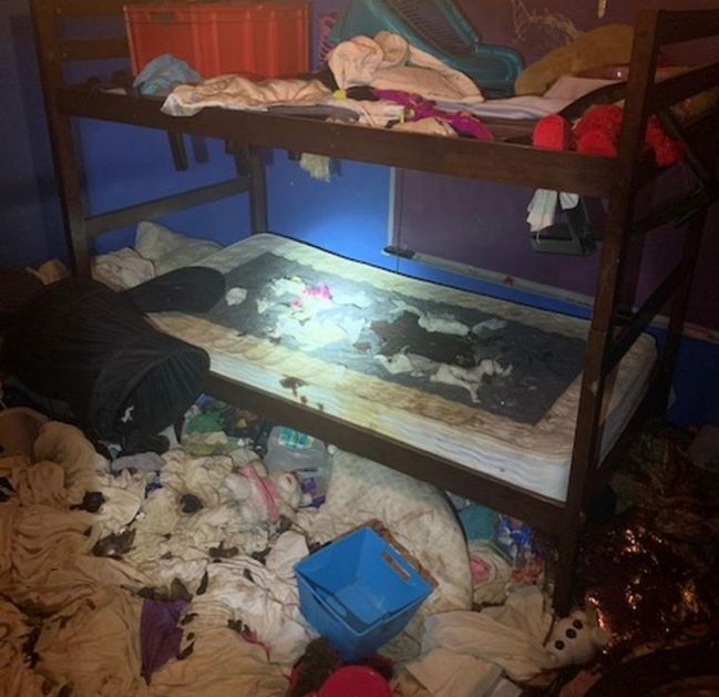 POLICIJA ZATEKLA STRAVIČAN PRIZOR U KUĆI NA FLORIDI: Porodica zanemarivala troje dece, živeli u prljavštini i izmetu sa 245 životinja! (FOTO)