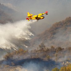 POMAŽEMO NAŠIM PRIJATEJIMA I SUSEDIMA Hrvatska poslala dva kanadera da gase požare u BiH