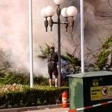 POPUCALA STAKLA OD TOPLOTE! Zapaljeno drveće ispred poslovne zgrade u Sarajevu (VIDEO)