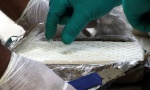 POTERA KAO U FILMOVIMA: Negotinska policija zaplenila kokain vredan oko 60.000 evra
