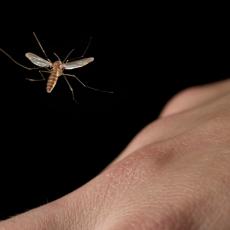 POTREBNO JE DA PROMENIŠ SAMO JEDNU STVAR: Najbolji trik kako da komarci PRESTANU da te UJEDAJU zauvek