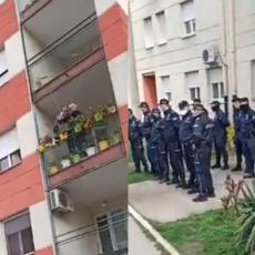 POTRESAN PRIZOR NA NOVOM BEOGRADU: Izvršitelji pokušavaju da isele pukovnika Lalovića, kolege su ga odbranile! (VIDEO)