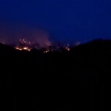 POŽAR GUTA MOKRU GORU: Vatra se brzo širi, vatrogasci hitno upućeni na teren (VIDEO)