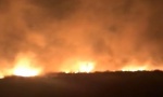 POŽARI OKOVALI SRBIJU: Vatra kod Jure ugašena; Bukti kod Požarevca, satima gore hektari šuma
