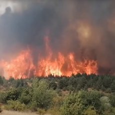 POŽARI PROGUTALI SEVERNU MAKEDONIJU: Situacija alarmantna, Srbi pomogli u spasavanju manastira od vatre (VIDEO)