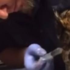 PREDIVNO: Sova ne može da prestane grliti čoveka koji joj je spasio život (VIDEO)
