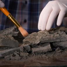 PRONAĐENA DREVNA CRKVA U MALOM IĐOŠU: Arheološka istraživanja dala NEOČEKIVANE REZULTATE