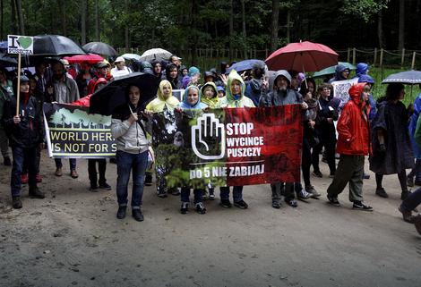PROTEST U POLJSKOJ Stotine ljudi brani šumu od seče