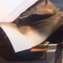 PROVOKATOR ĆE PRETRPETI ZASLUŽENU KAZNU U Moskvi zapaljen Kuran, Kadirov van sebe od besa (VIDEO)