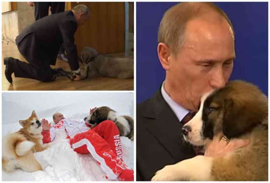 PUTIN SAMO PRED NJIMA PADA NA KOLENA: Videli ste Pašu, a ovo su svi ljubimci predsednika Rusije koji svetskog vladara pretvaraju u pravo dete! (VIDEO)
