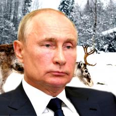 PUTINOV KRVAVI ELIKSIR: Sibirsko čudo je NAJSKUPLJI LEK NA SVETU, koristi ga i RUSKI PREDSEDNIK