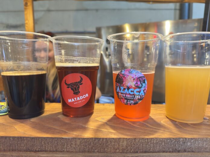 Paleta ukusa na Festivalu piva u Nišu – arome dunje, maline, mente, čokolade, kafe, đumbira…