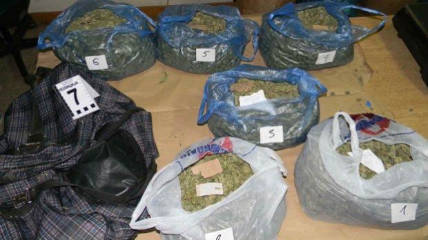 Pali dileri droge u Negotinu, zaplenjeno više od 28 kilograma marihuane