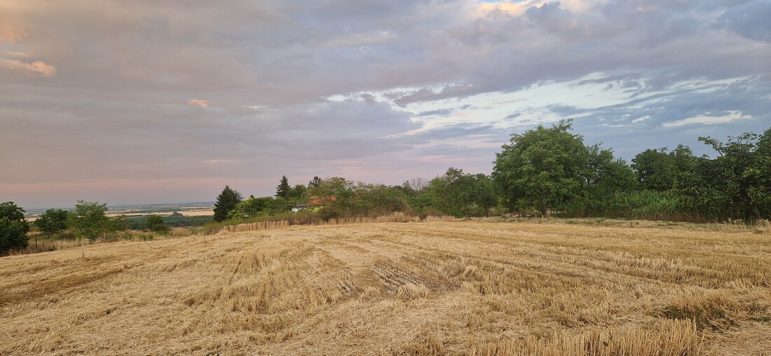 Paljenje strnjike nema nijednu dobru stranu, a može da napravi veliku štetu