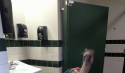 Pametna roda se sakrila od uragana u toaletu zoo vrta 