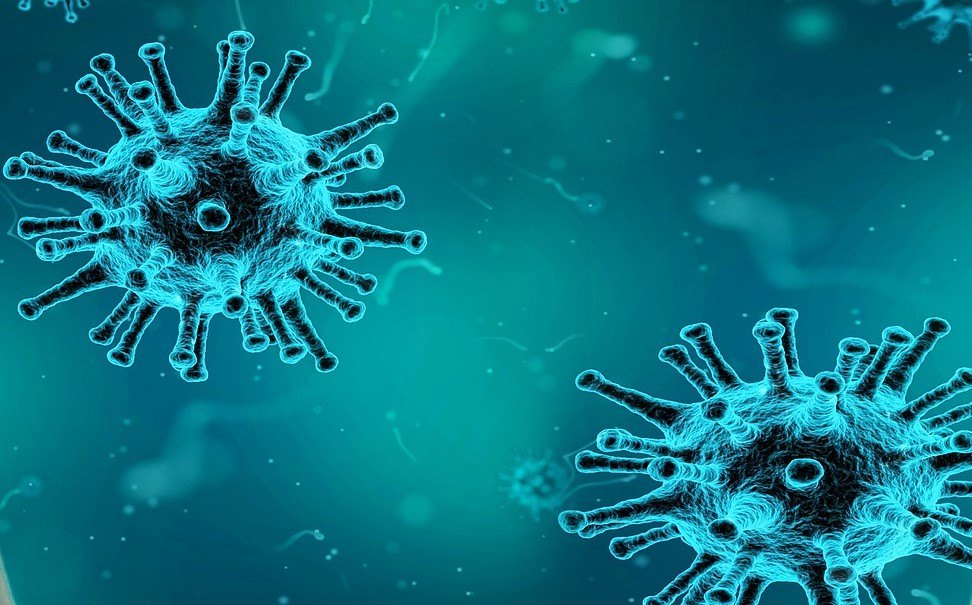 Pandemija korona virusa, druga u 21. veku