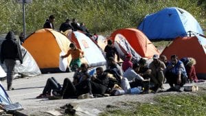 Pao broj zahteva za politički azil u EU