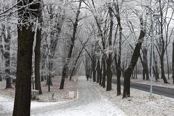 Pao sneg u Beogradu (FOTO)