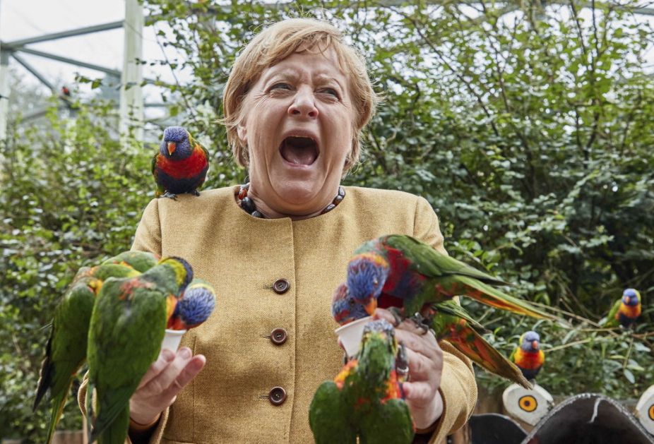 Papagaj napao kancelarku Merkel