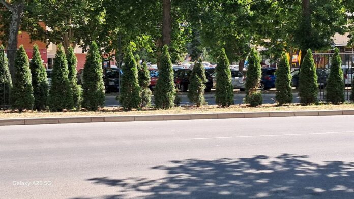 „Parking servis“ menja oštećenu zaštitnu ogradu na Bulevaru u Nišu