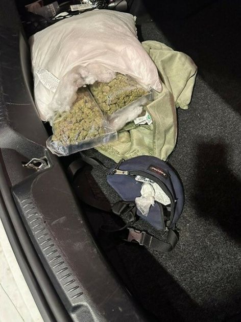 Pas markirao jastuk sa drogom na Horgošu