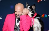 Pas pobedio u Amerika ima talenat: Ljubimcu nije odolela ni poznata glumica VIDEO