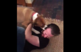 Pas slavnog glumca pokazao šta znači prava ljubav (VIDEO)