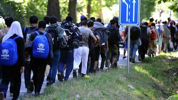 Pašalić : Utvrditi okolnosti zlostavljanja maloletnih migranata
