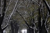 Pašće sneg u Srbiji: Meteorolog otkrio tačan datum